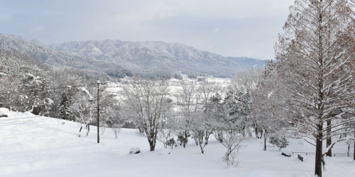 雪景色