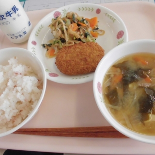 ６月１１日（水）