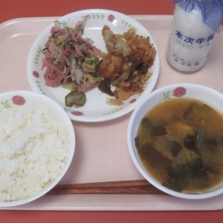 １１月１９日（水）