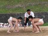 わんぱく相撲大会