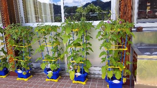 夏休みスタート～夏真っ盛り～です