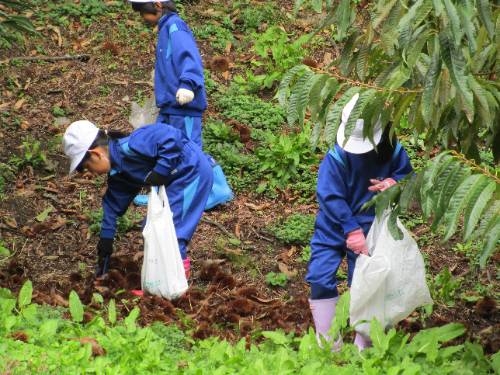 １年生　秋見つけ