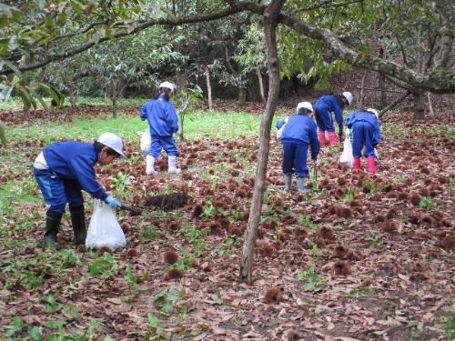 １年生　秋見つけ