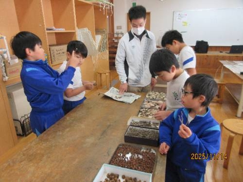 3年生森林学習＆木工細工