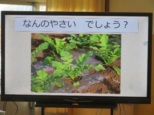 お弁当の日の事前学習をしました。