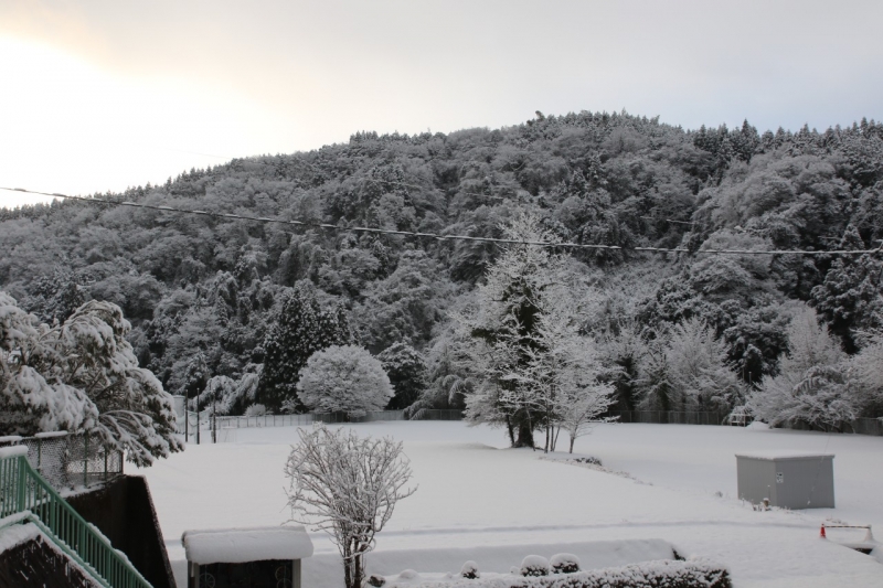 ２月２０日（木）雪景色