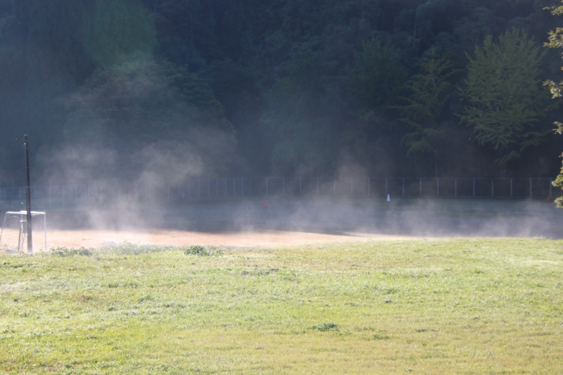 １１月１３日（木）朝もや