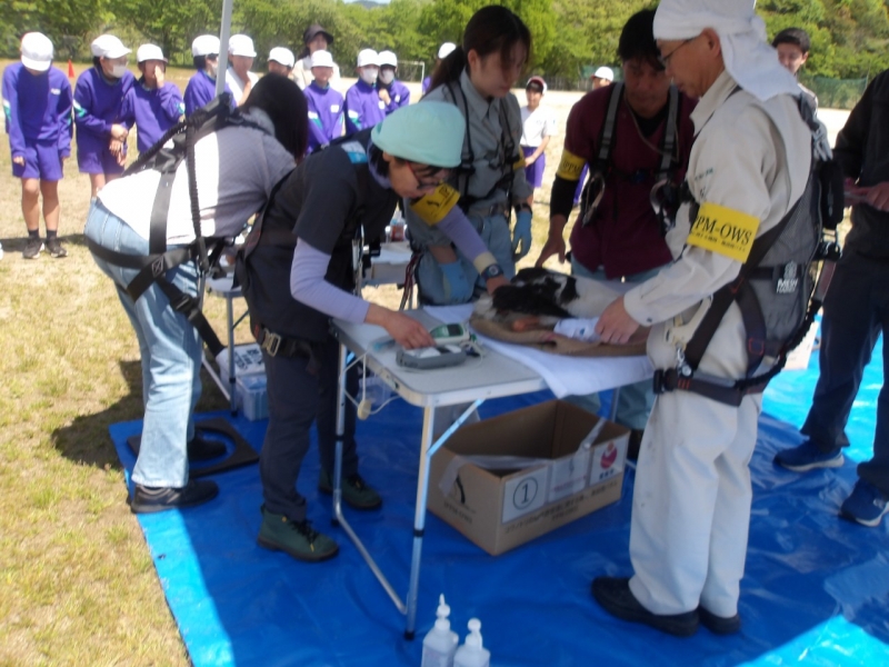 20250507130646_681adc56b178e.jpg