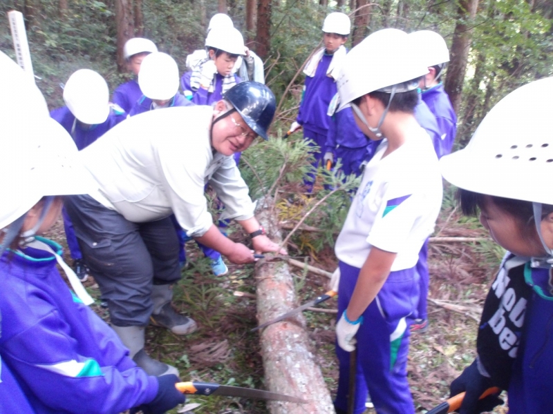 森林作業体験