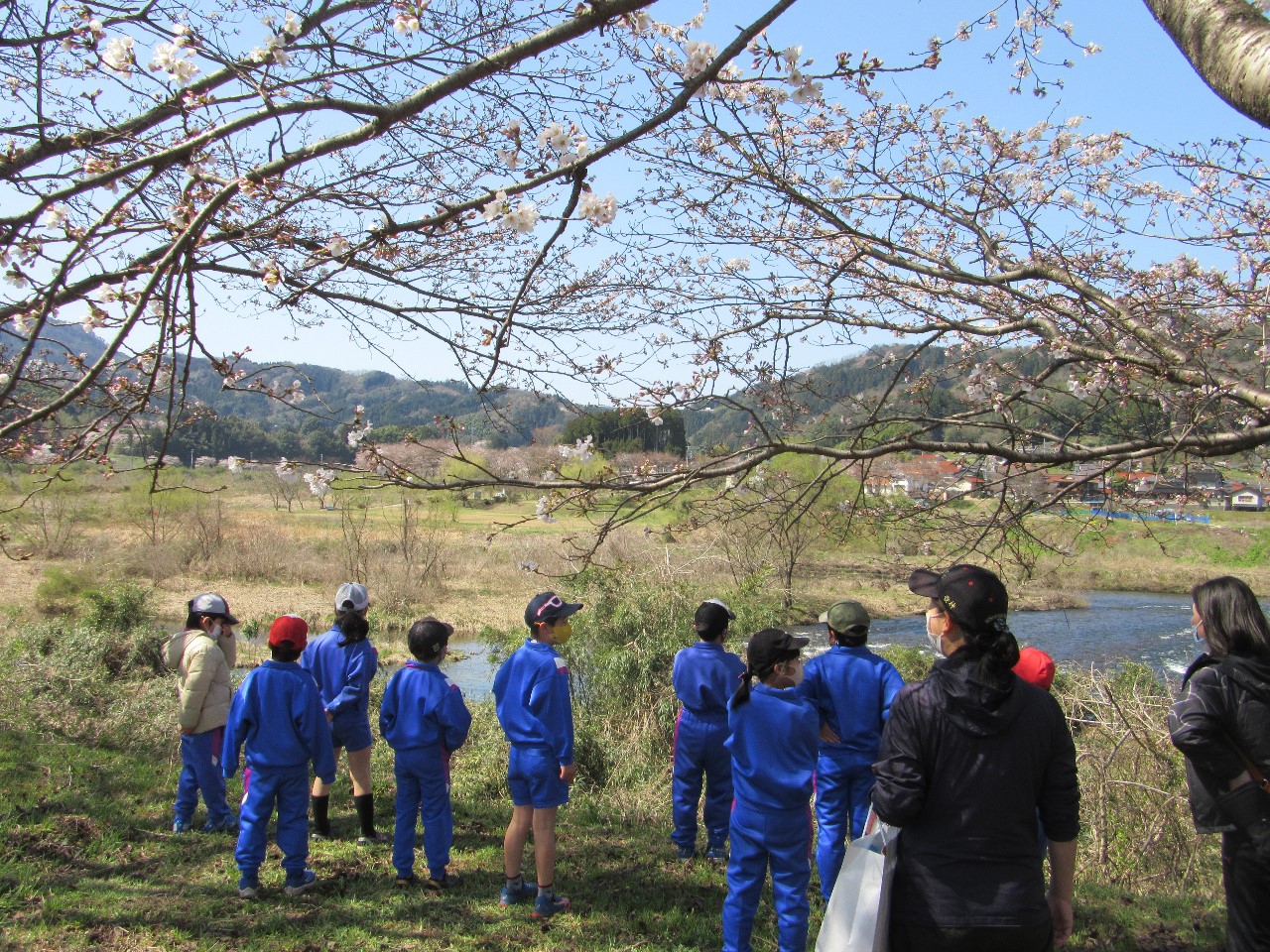 児童の活動雲南市立西日登小学校