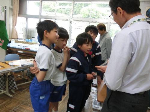 深野川の水質調査