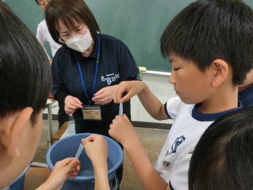 深野川の水質調査
