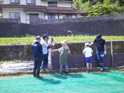 さつまいもの苗植え（大切な仕上げ）