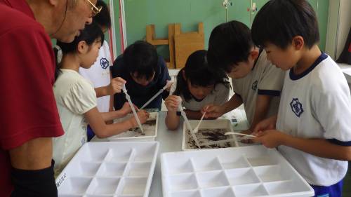 河川調査（３・４年生）