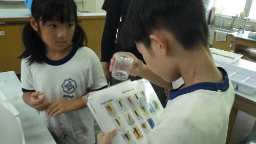 河川調査（３・４年生）